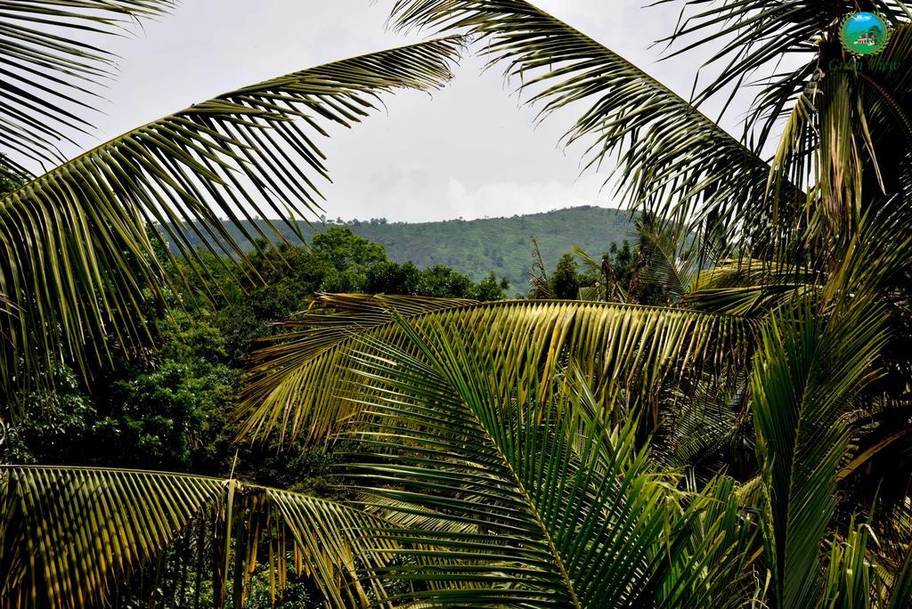 Green View Thekkady Extérieur photo
