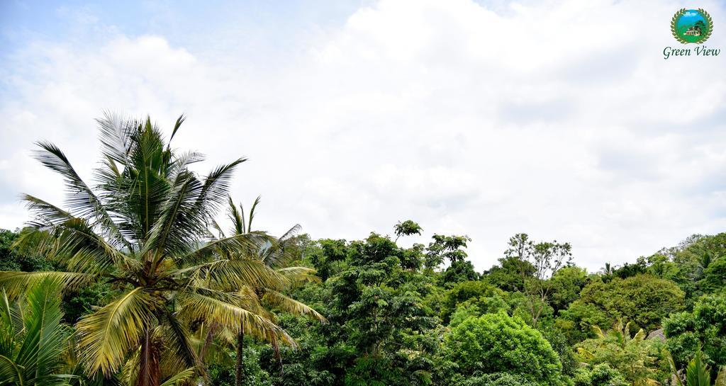 Green View Thekkady Extérieur photo